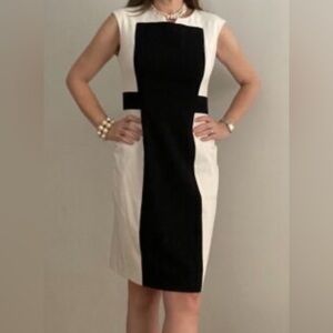 Calvin Klein Black and White Dress